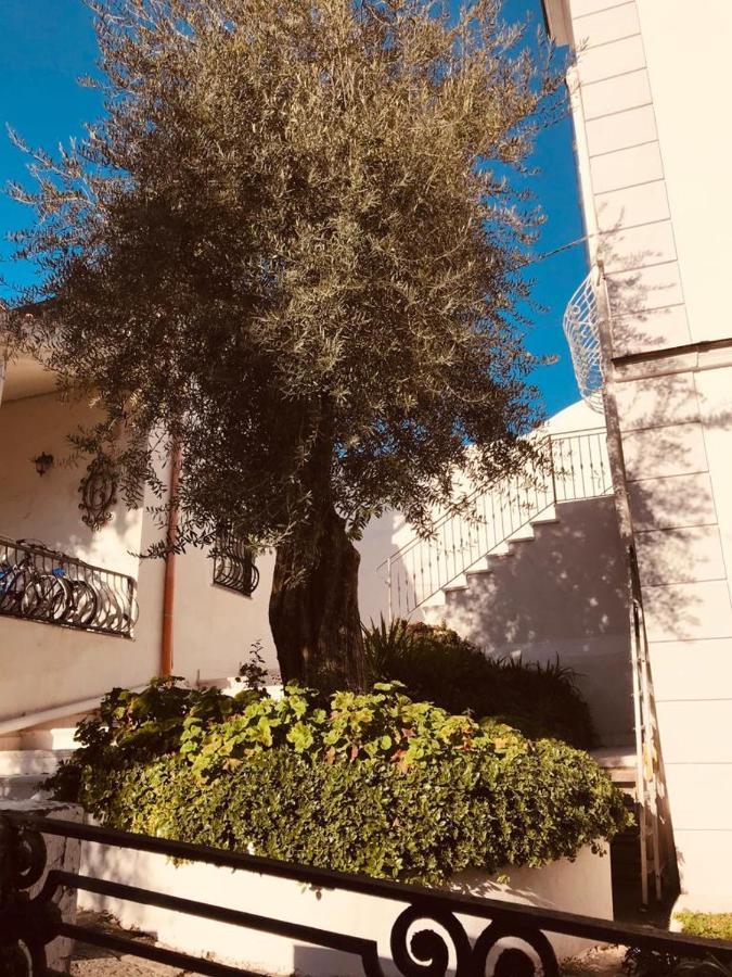 Casa Maria Vittoria Bed & Breakfast