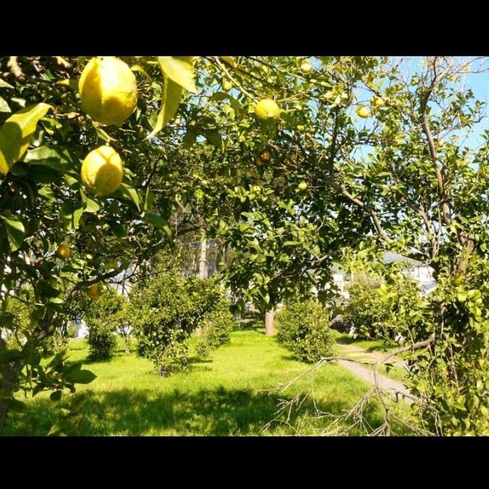 Bed & Breakfast Casa Maria Vittoria Torre del Greco